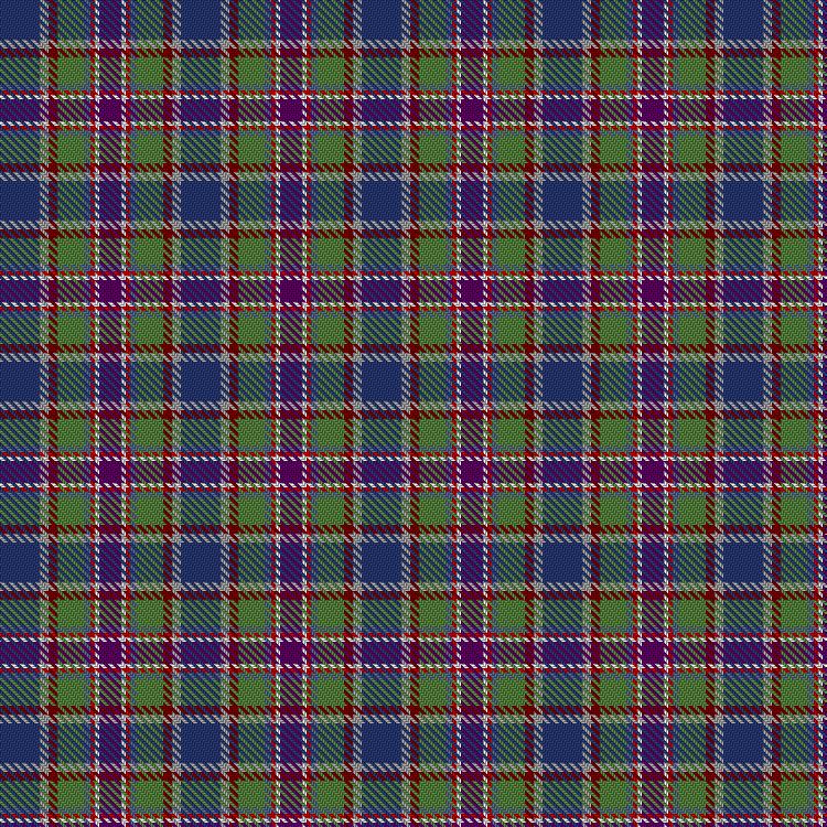 Tartan image: Caledonian Sleeper. Click on this image to see a more detailed version.