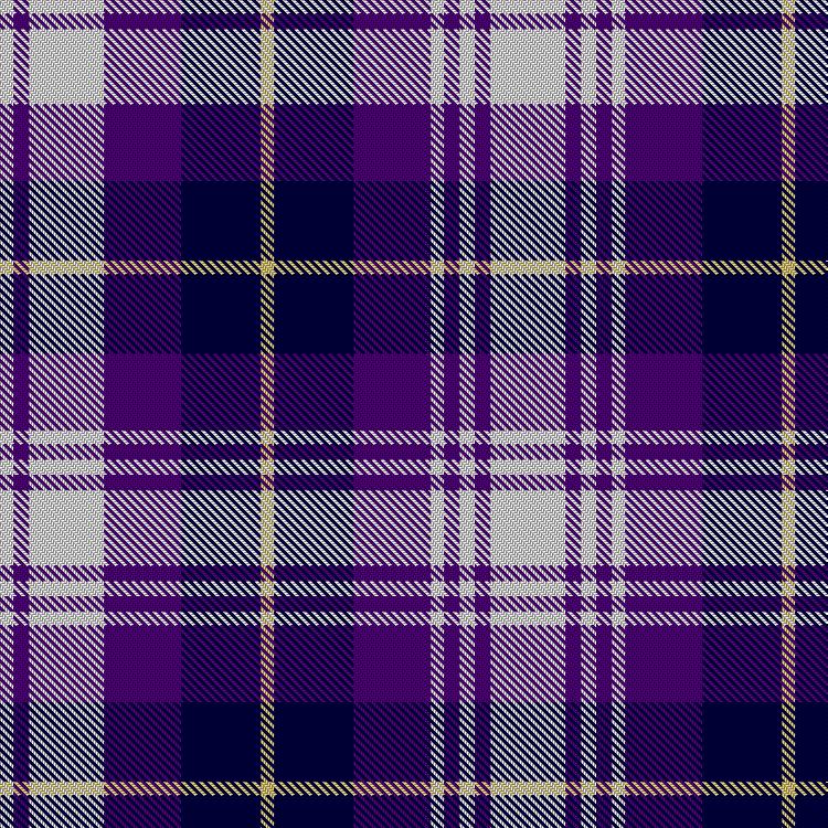 Tartan image: Poulter Tron. Click on this image to see a more detailed version.