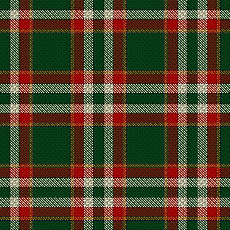Tartan image: Michael Pellicci (Personal). Click on this image to see a more detailed version.