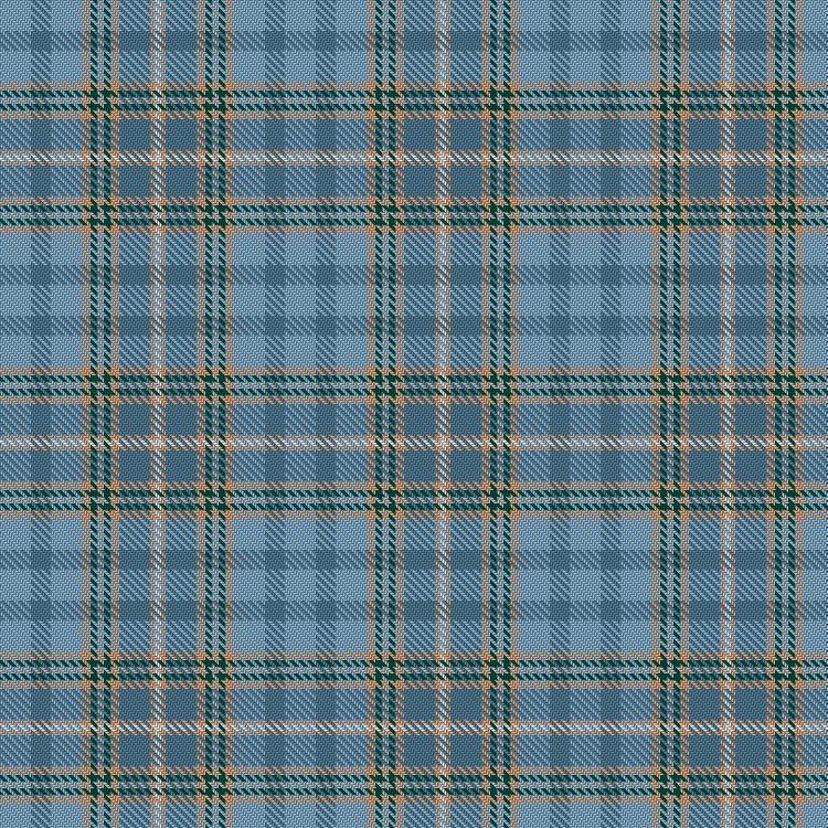 Tartan image: Bouguet, Adrian (Personal). Click on this image to see a more detailed version.