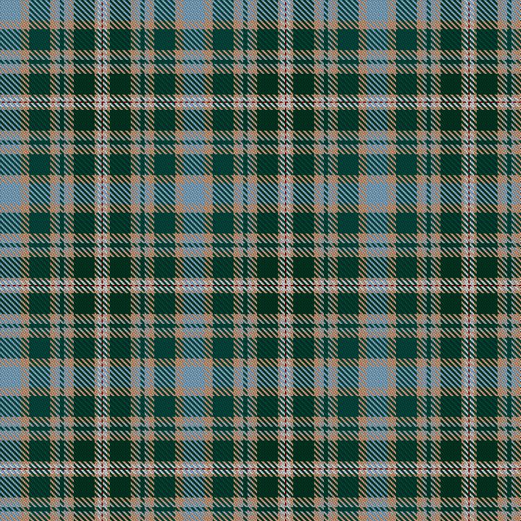 Tartan image: Bouguet, Adrian  Hunting (Personal). Click on this image to see a more detailed version.