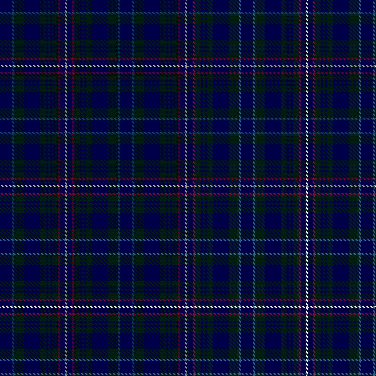 Tartan image: Ayre Robinson (Personal). Click on this image to see a more detailed version.