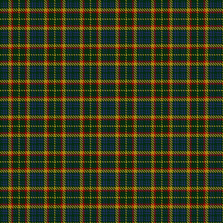 Tartan image: Arkansas (Unofficial). Click on this image to see a more detailed version.