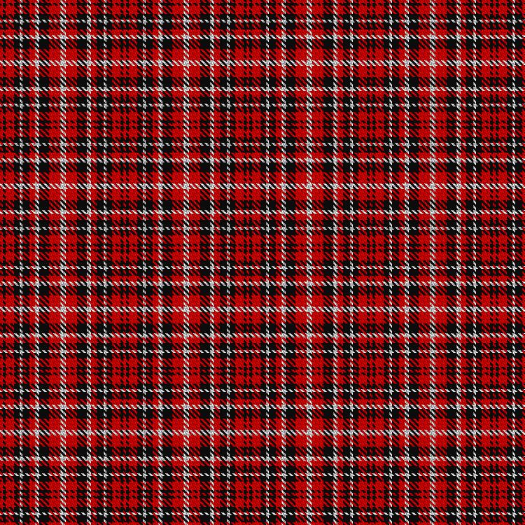 Tartan image: Central Washington University Wildcat. Click on this image to see a more detailed version.