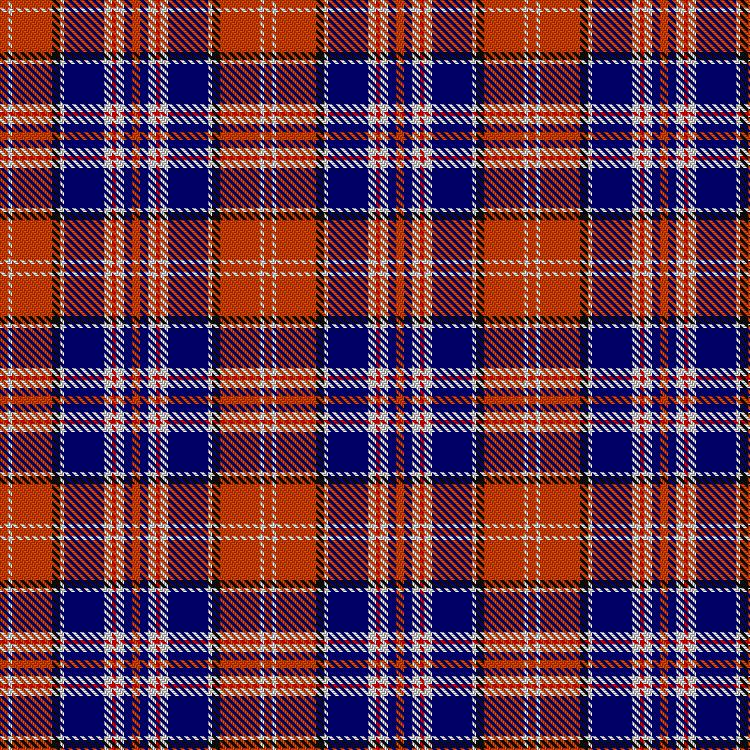 Tartan image: Bear Baars (Personal). Click on this image to see a more detailed version.