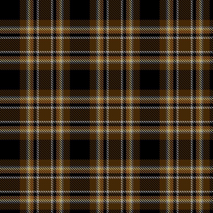 Tartan image: International Bear Pride. Click on this image to see a more detailed version.