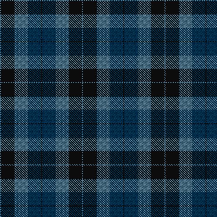 Tartan image: McTear's Auctioneers. Click on this image to see a more detailed version.