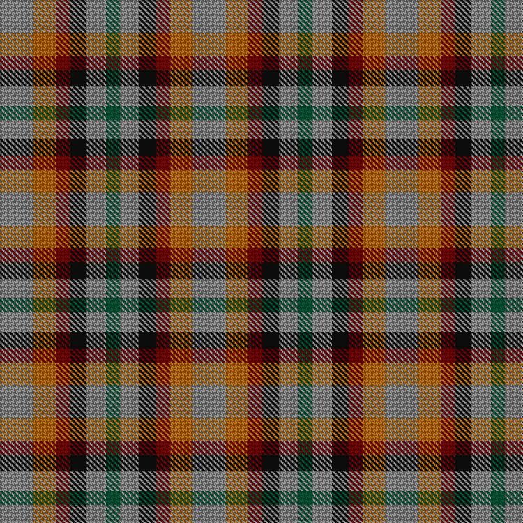 Tartan image: Mitchell, Martin (Personal). Click on this image to see a more detailed version.