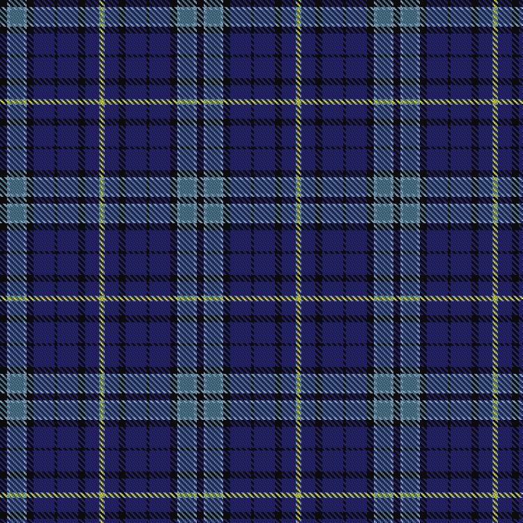 Tartan image: Goodwin, Robert Richard (Personal). Click on this image to see a more detailed version.