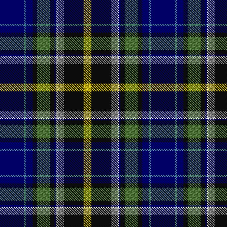 Tartan image: Aurora House Check. Click on this image to see a more detailed version.