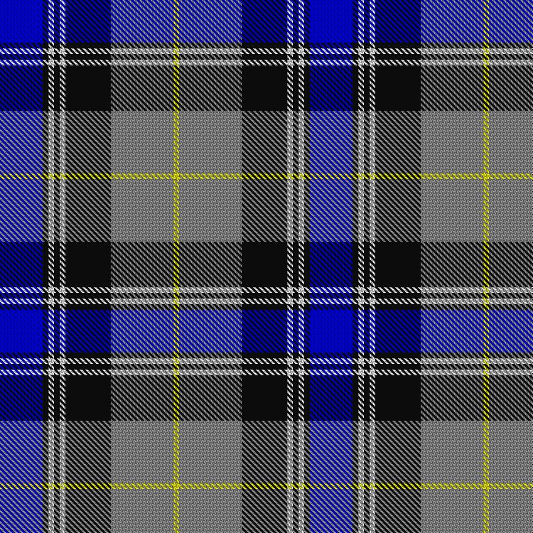 Tartan image: Sneddon, Jonathan Taylor (Personal). Click on this image to see a more detailed version.