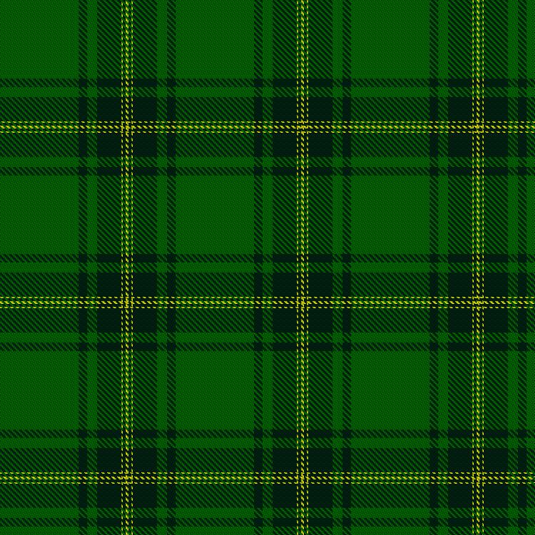 Tartan image: MacBeorn. Click on this image to see a more detailed version.