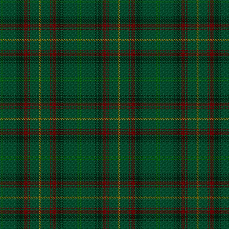 Tartan image: INSEAD. Click on this image to see a more detailed version.