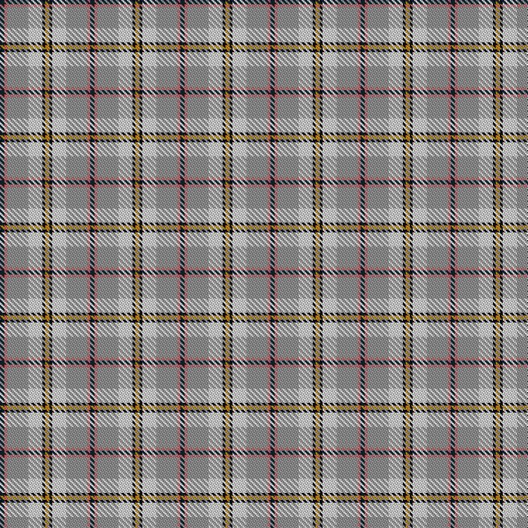 Tartan image: SCH '67 Class. Click on this image to see a more detailed version.