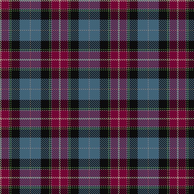 Tartan image: Vinther, Niels Christian (Personal). Click on this image to see a more detailed version.