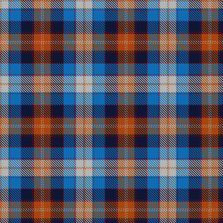 Tartan image: International Council for Commercial Arbitration. Click on this image to see a more detailed version.