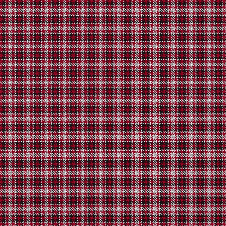 Tartan image: Oakland Centre. Click on this image to see a more detailed version.