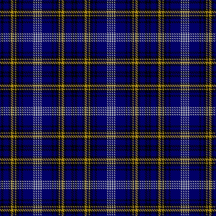 Tartan image: Skarpathiotakis, George (Personal). Click on this image to see a more detailed version.