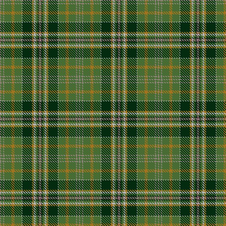 Tartan image: Malone, Keagan Allen (Personal). Click on this image to see a more detailed version.