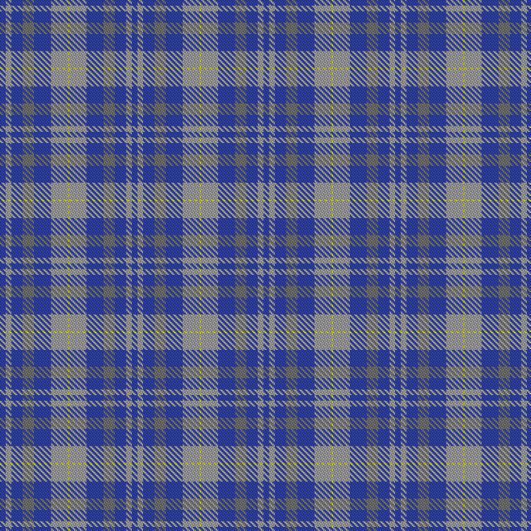 Tartan image: von Prondzynski (2016). Click on this image to see a more detailed version.