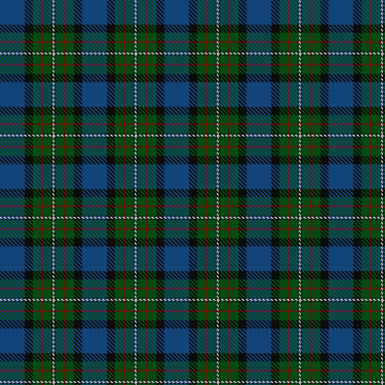 Tartan image: Ferguson of Atholl. Click on this image to see a more detailed version.