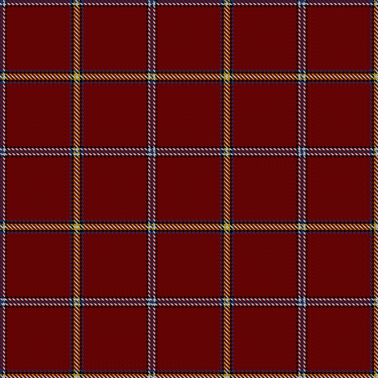 Tartan image: Singer Manufacturing Company, The. Click on this image to see a more detailed version.