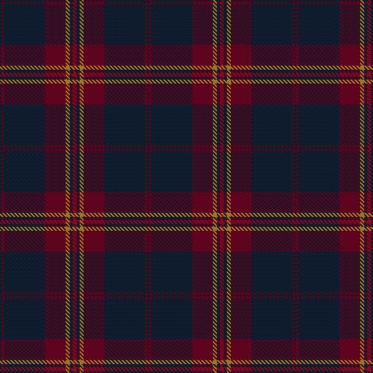 Tartan image: Héritage Eduen. Click on this image to see a more detailed version.