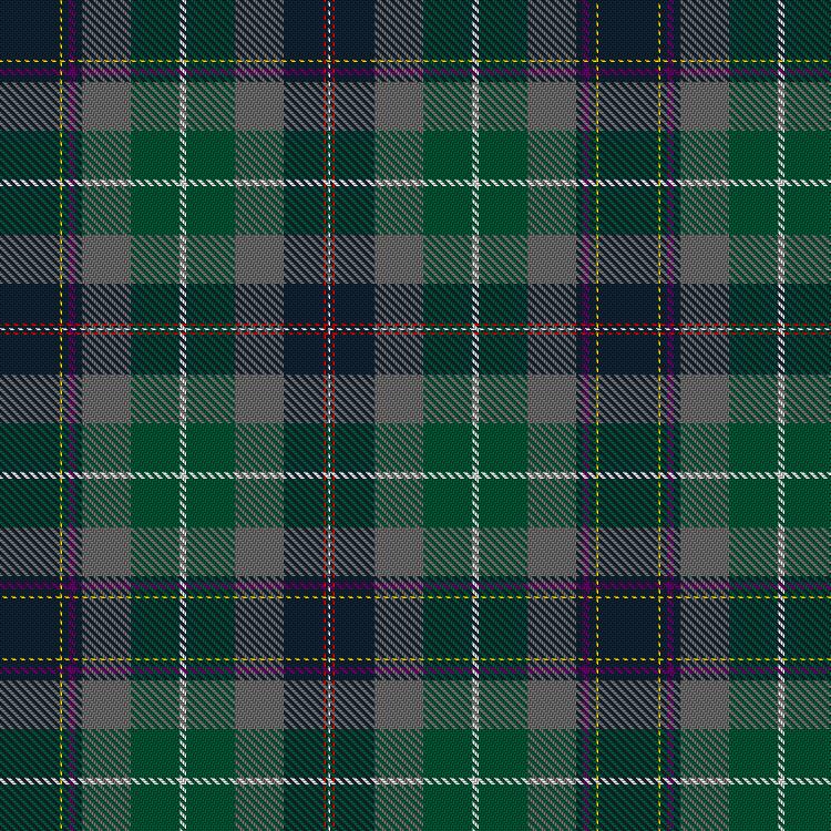 Tartan image: Mihulka (2017). Click on this image to see a more detailed version.