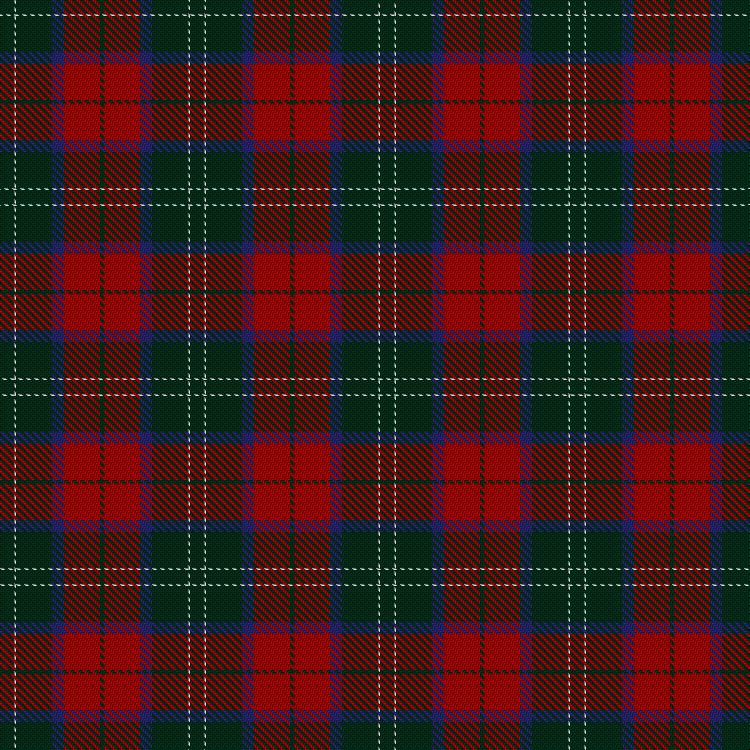 Tartan image: Finlaggan. Click on this image to see a more detailed version.