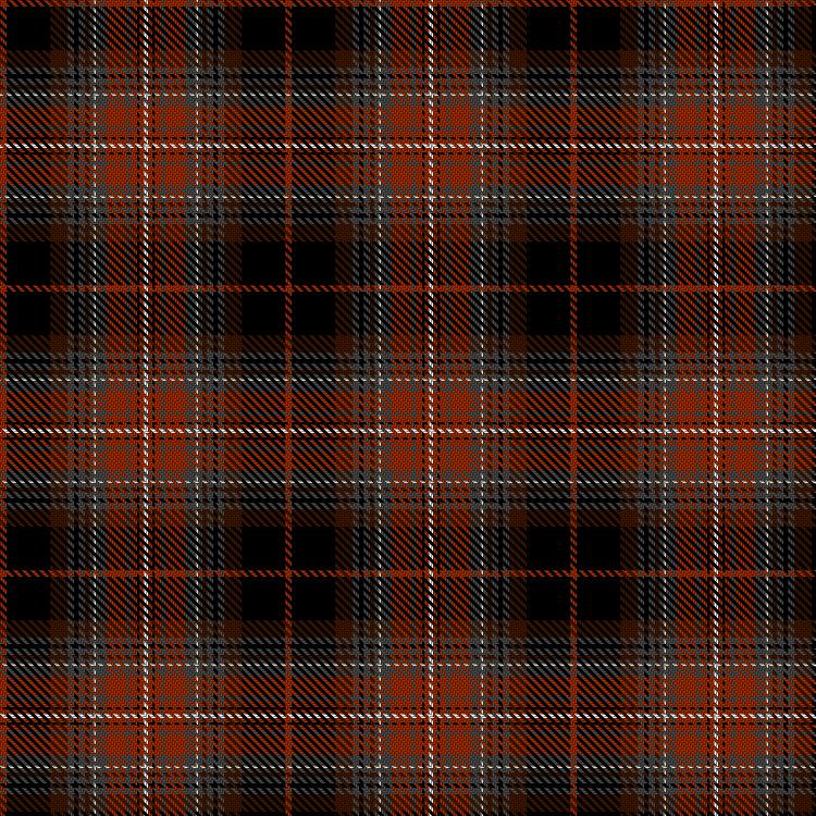 Tartan image: Takimoto Schools. Click on this image to see a more detailed version.