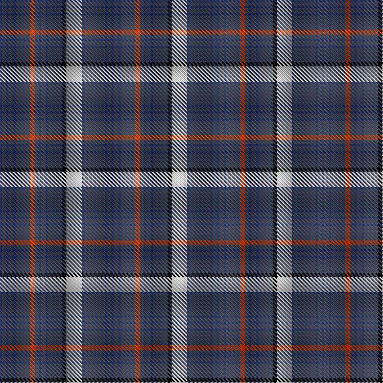 Tartan image: den Ouden, David John (Personal). Click on this image to see a more detailed version.