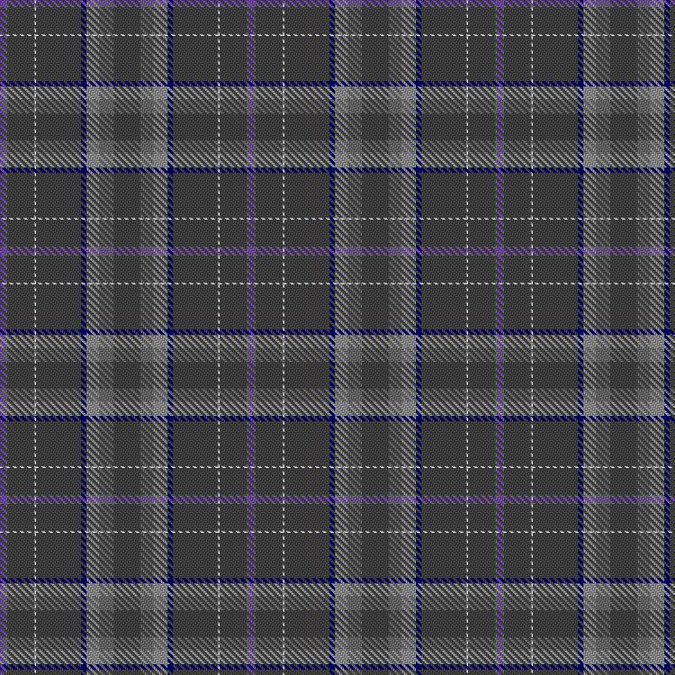 Tartan image: Cameron, Alison (Personal). Click on this image to see a more detailed version.