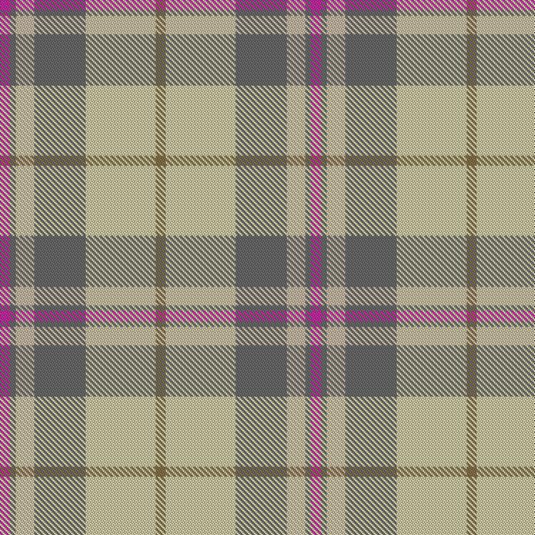 Tartan image: Afternoon Tea / Vanilla Cream Tea. Click on this image to see a more detailed version.