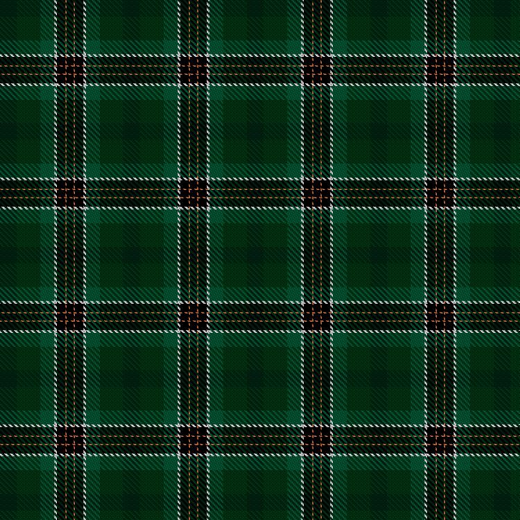 Tartan image: Spirit of Ireland. Click on this image to see a more detailed version.