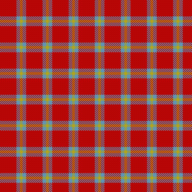 Tartan image: Aberchirder Primary School. Click on this image to see a more detailed version.