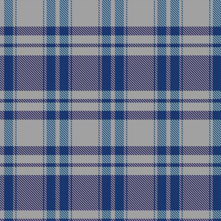 Tartan image: Asahi (Estimated threadcount). Click on this image to see a more detailed version.