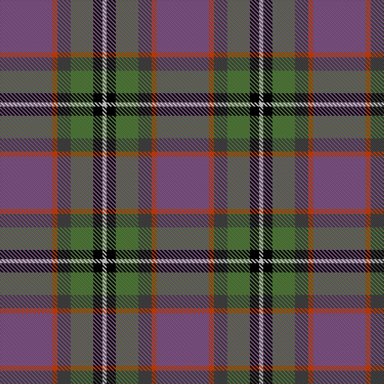 Tartan image: Kinnamont-Pifer Wedding (Personal). Click on this image to see a more detailed version.