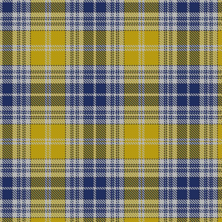 Tartan image: Spirit of Ukraine. Click on this image to see a more detailed version.