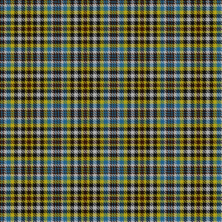 Tartan image: Englund, Paul (Personal). Click on this image to see a more detailed version.