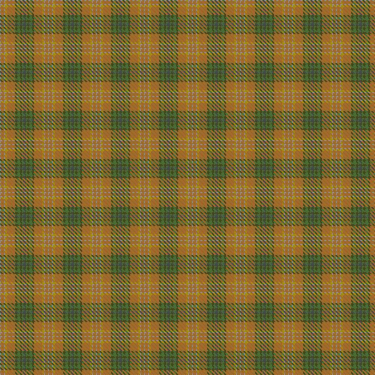 Tartan image: ConGrad. Click on this image to see a more detailed version.