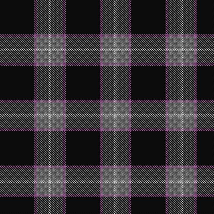 Tartan image: Beannalba Gabriella. Click on this image to see a more detailed version.