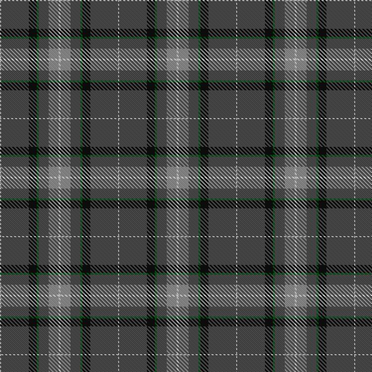Tartan image: Moon and Airless Bodies. Click on this image to see a more detailed version.