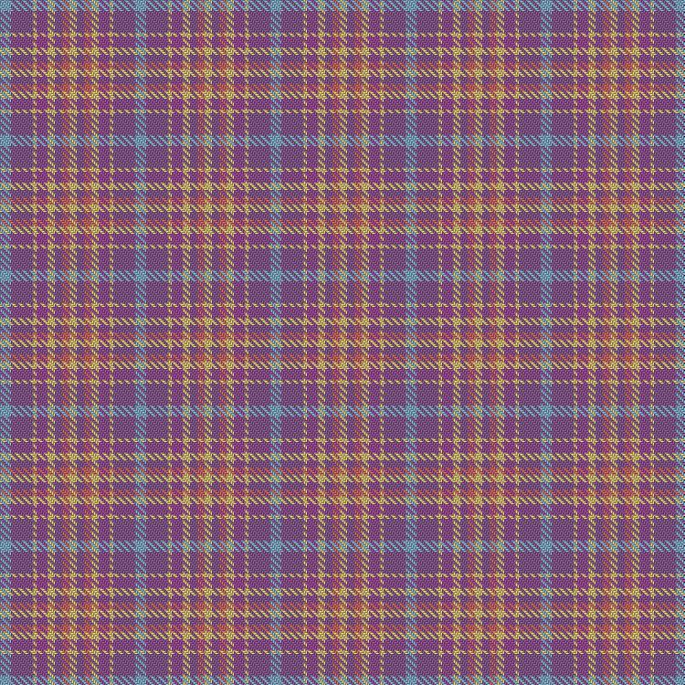 Tartan image: deafscotland heritage. Click on this image to see a more detailed version.