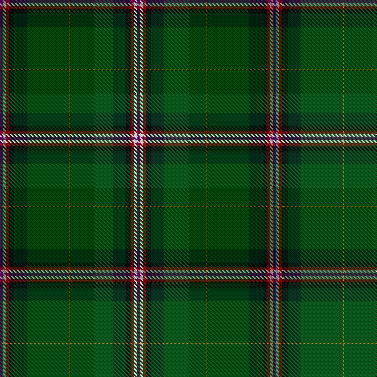 Tartan image: Douglas, William (Personal). Click on this image to see a more detailed version.