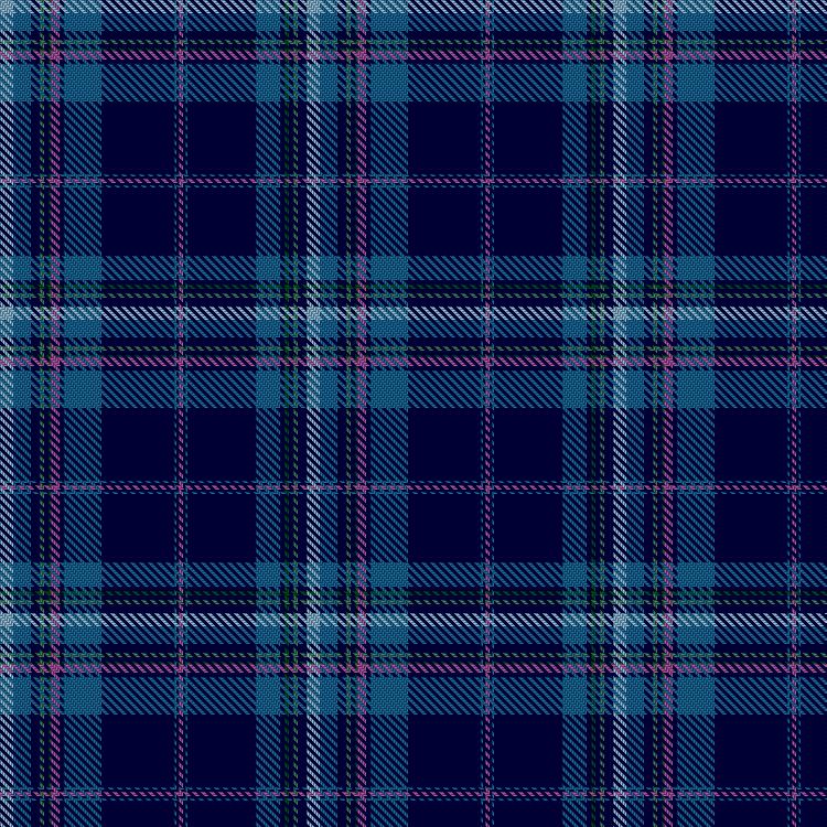 Tartan image: Sebilleau, Christine (Personal). Click on this image to see a more detailed version.