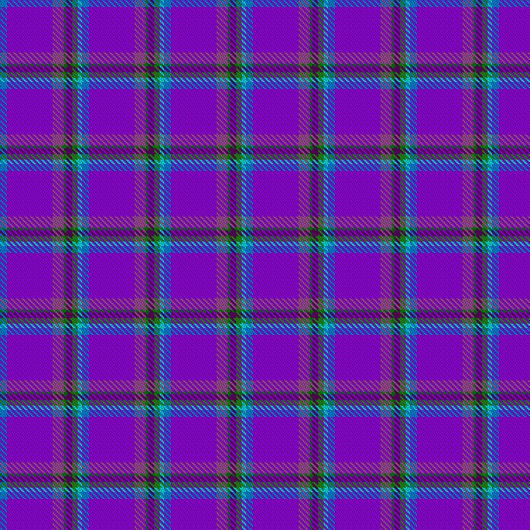 Tartan image: George, Christi (Personal). Click on this image to see a more detailed version.