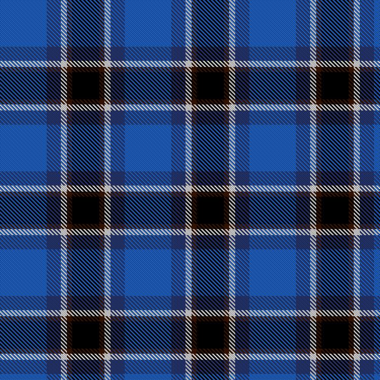 Tartan image: Browning, Alison (Personal). Click on this image to see a more detailed version.