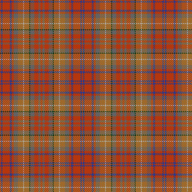 Tartan image: Barnes, Karey (Personal). Click on this image to see a more detailed version.
