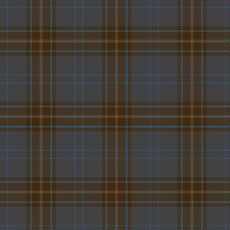 Tartan image: Grim of Helsingland. Click on this image to see a more detailed version.