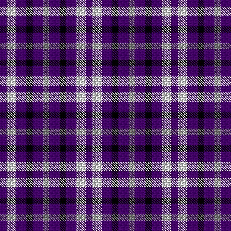 Tartan image: Texas Christian University. Click on this image to see a more detailed version.